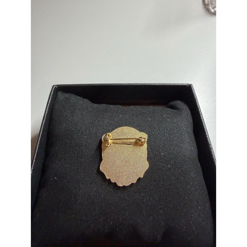 Certified Geriatric Assistant Lapel Pin Medical Emblem Professional - Picture 3 of 3